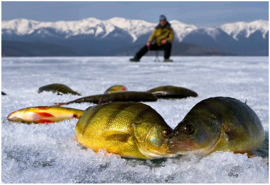 Советы тем, кто отправляется на зимнюю рыбалку