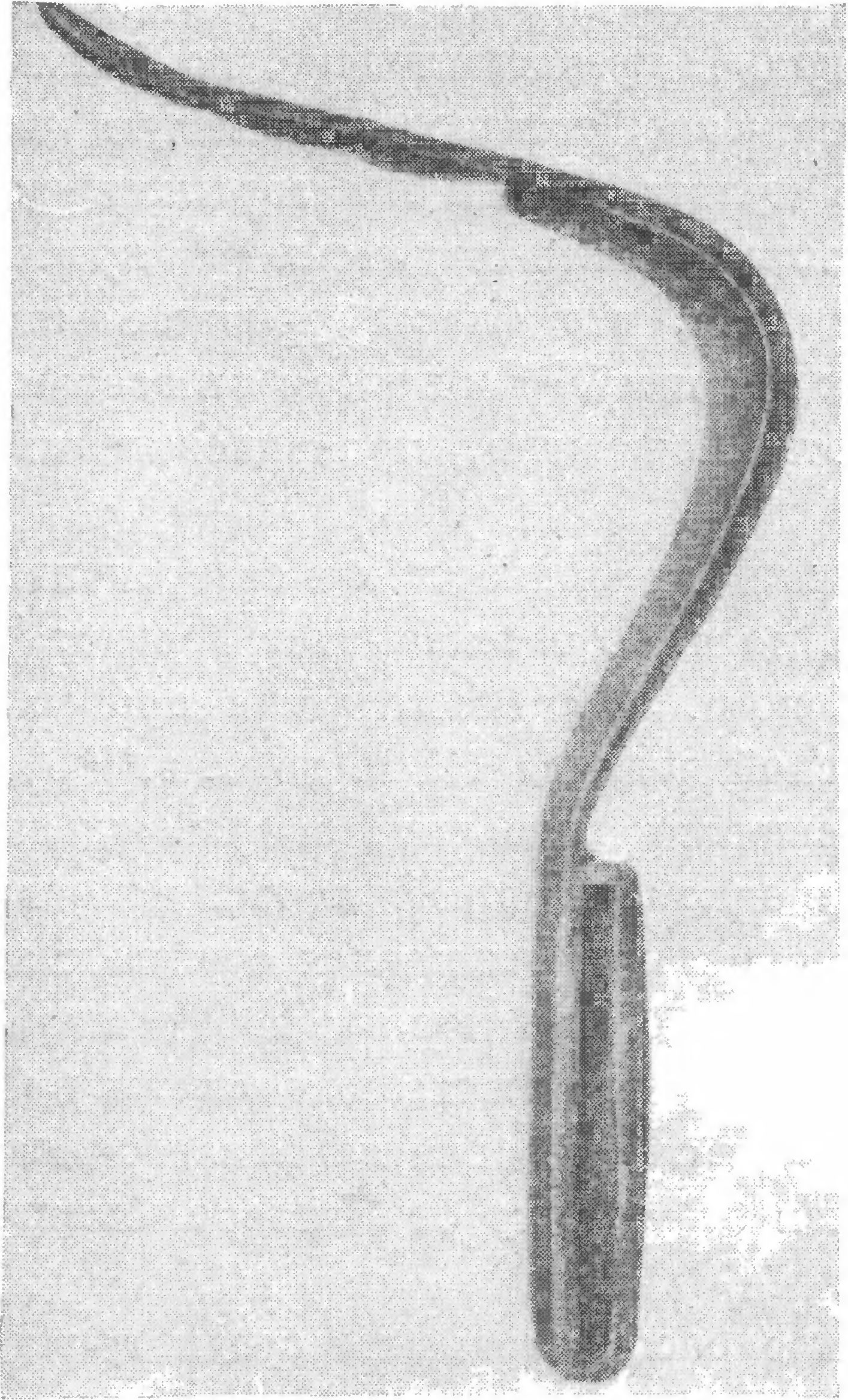 56. Бронзовый стригиль из Херсонеса (находка 1901 г.)