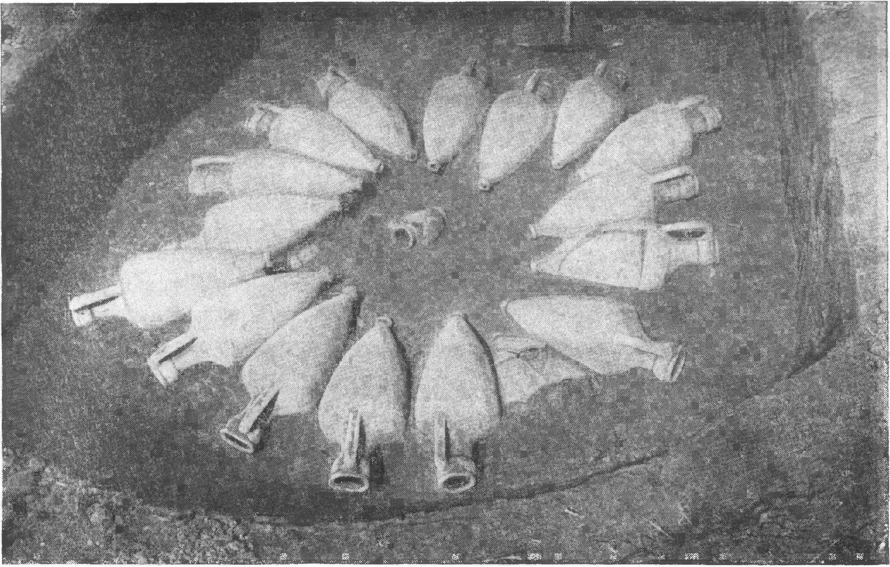 61. Богатое захоронение с кремацией (раскопки ольвийского некрополя 1911 г.)