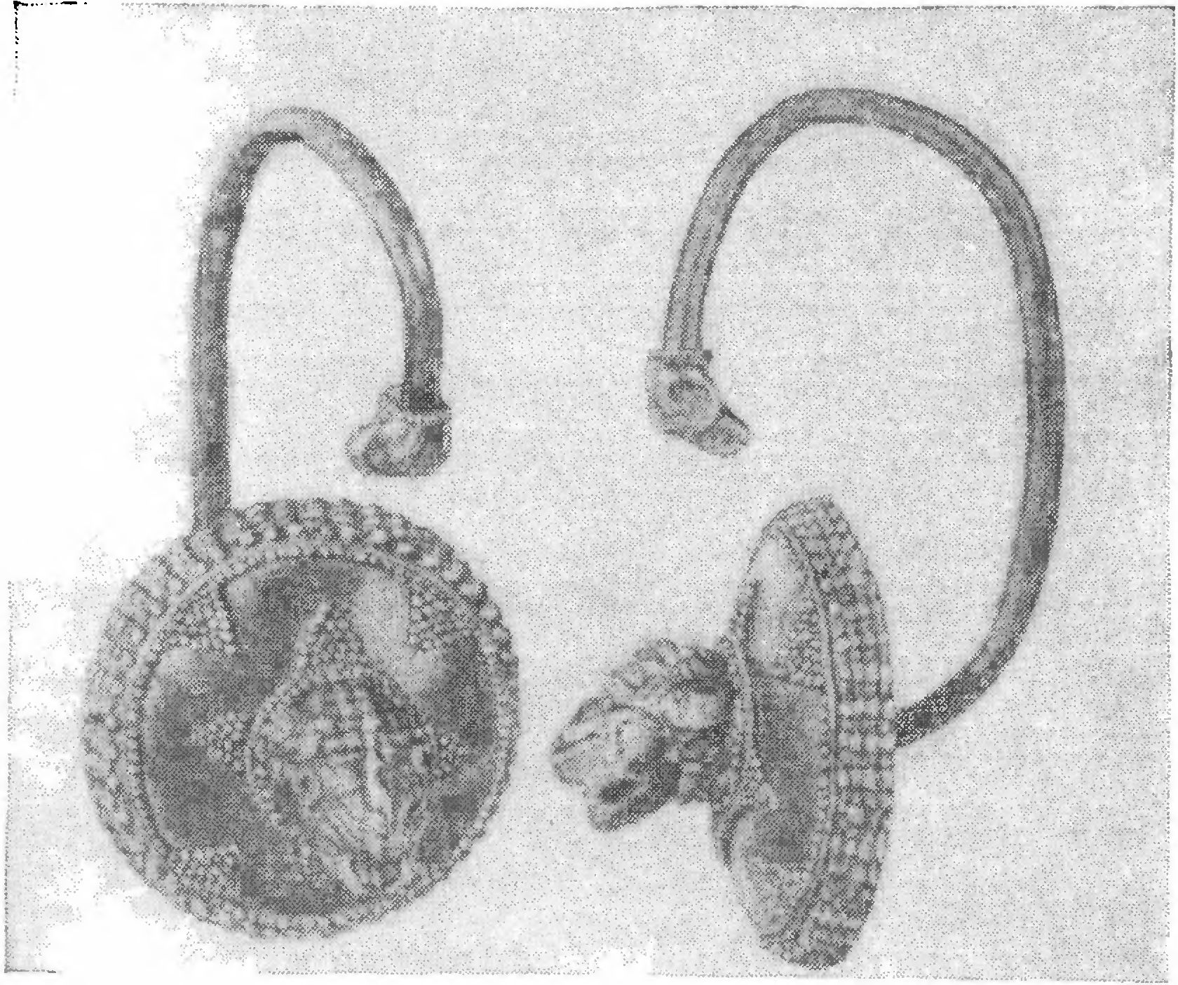 88. Золотая серьга из ольвийской могилы VI в. до н. э.
