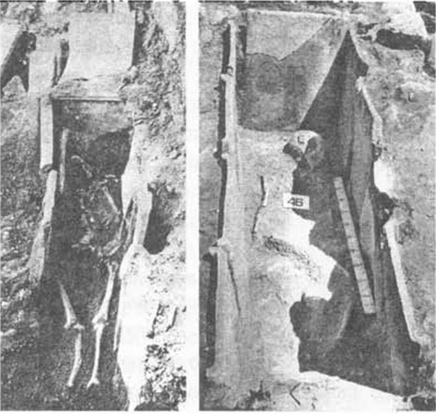 Погребения эллинистического периода в могилах, обложенных кровельными черепицами, из Херсонесского некрополя