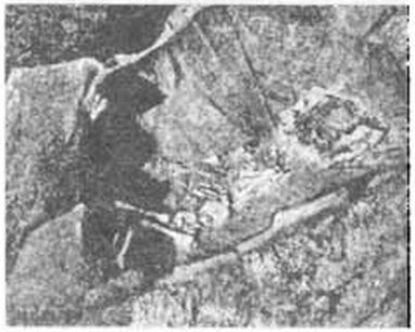 Захоронения детей в амфорах из раскопок Г.Д. Белова на Северном берегу Херсонеса
