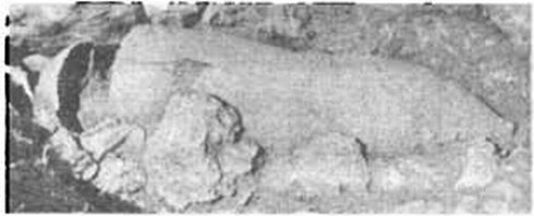 Погребения детей в амфорах позднеантичного периода. Западный некрополь Херсонеса. Раскопки автора