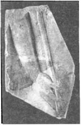 Фрагменты мраморного надгробия классического типа с рукой, держащей копье, из Херсонеса