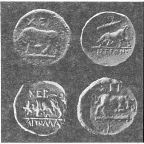 Херсонесские монеты с изображением атрибутов Геракла