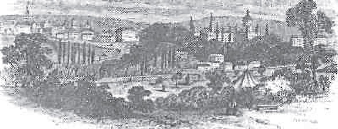 3. Неилсон. Симферополь с восточной стороны. 1855 г.