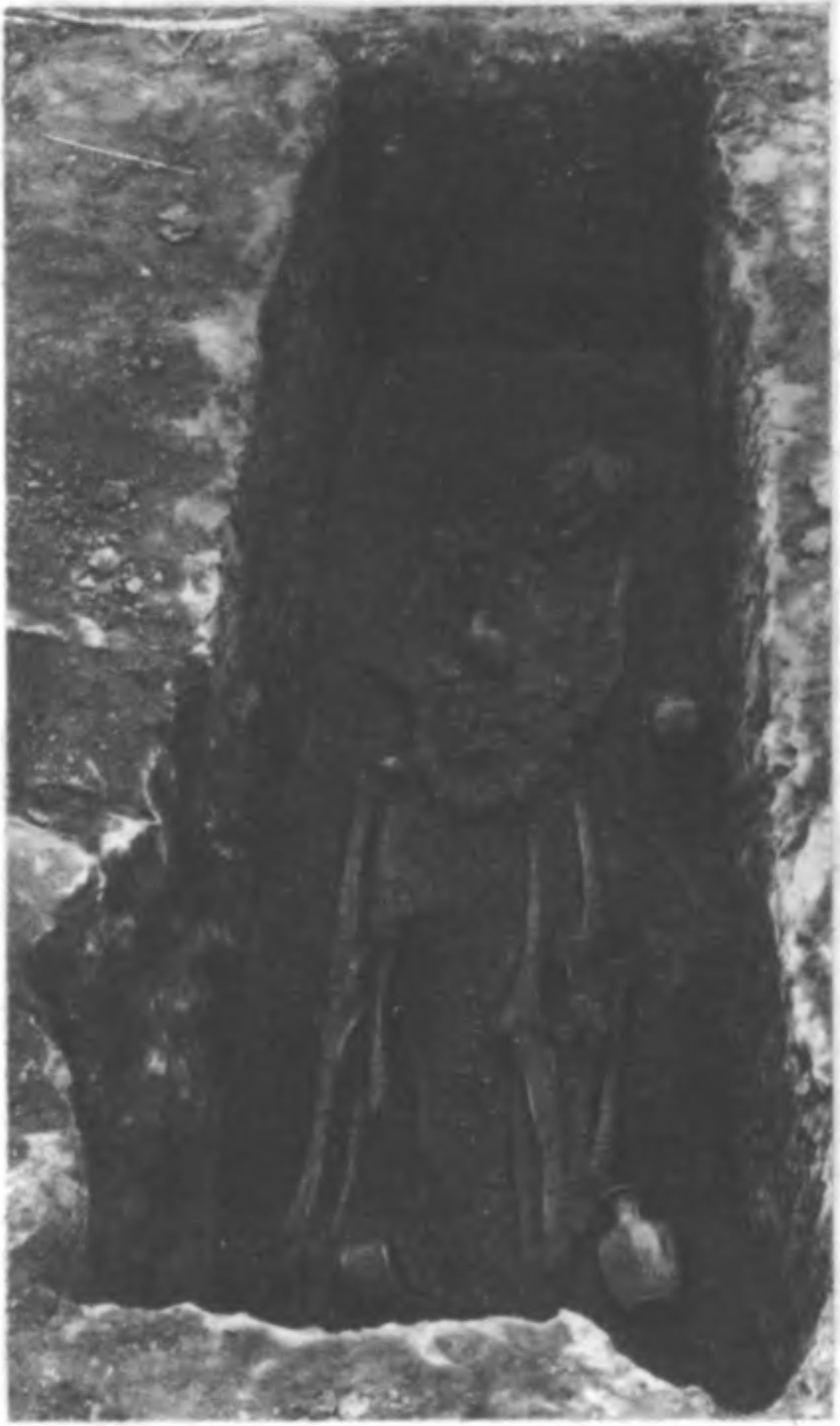 Рис. 14. Погребение в могиле, вырубленной в скале