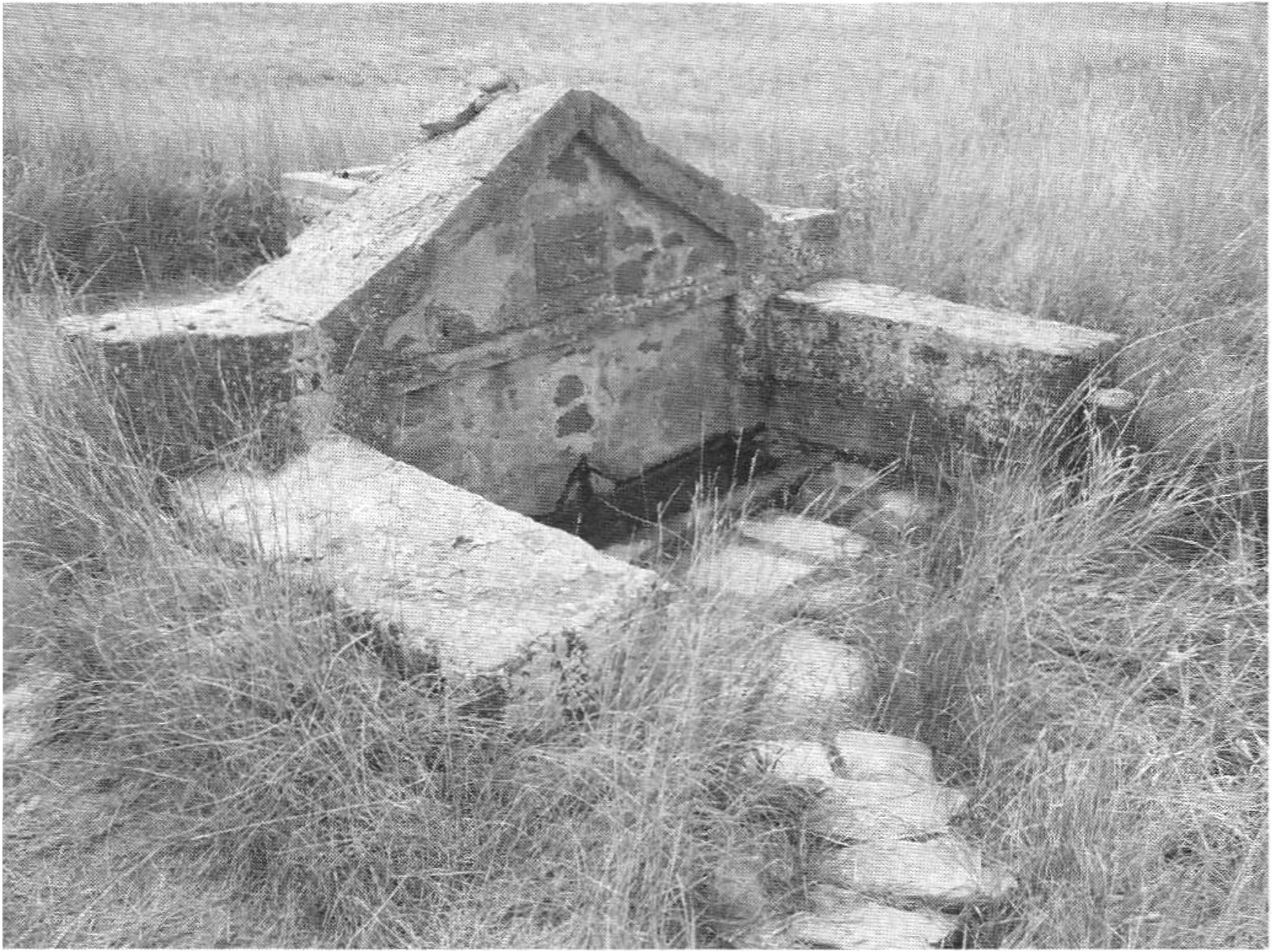Старинное чешме у села Токлук. Фото автора