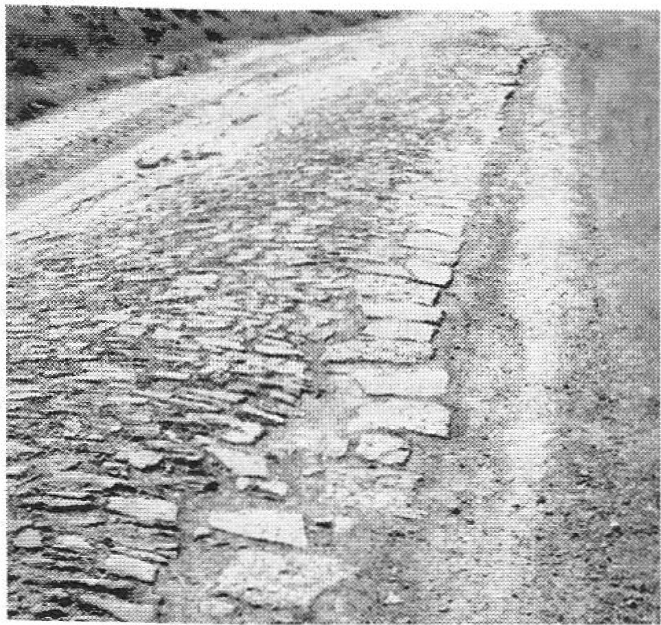 Римская военная дорога близ мыса Меганом. Фото автора