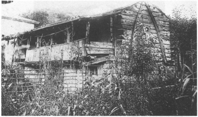 Горный дом с пайвандами. Фото Е.В. Веймарна.