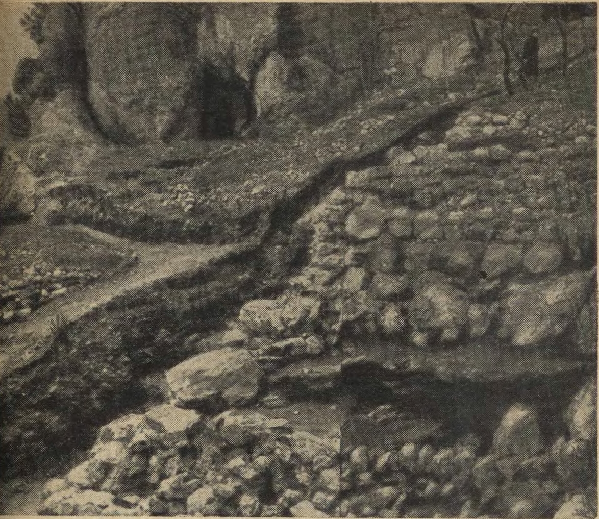 Остатки оборонительной стены VI—VIII вв на скале Дженевез-Кая