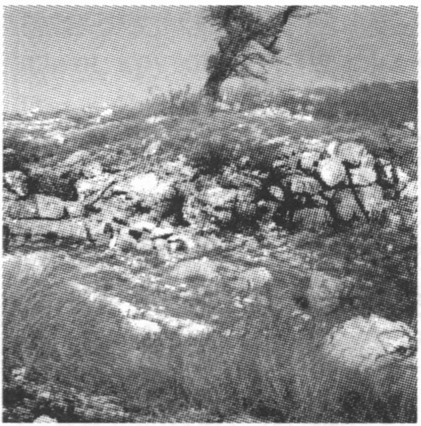 Руины храма Св. Ильи X—XIII вв. на гребне горы Ильяс-Кая