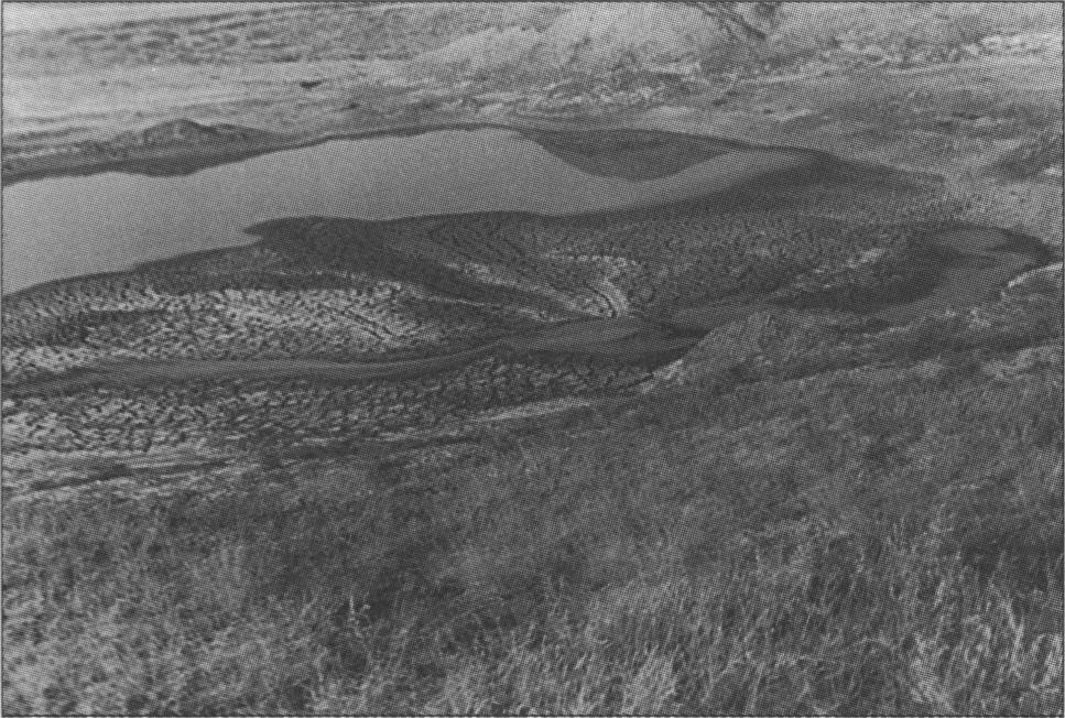 Грязевое озеро-сопка им. В.И. Вернадского на Керченском полуострове