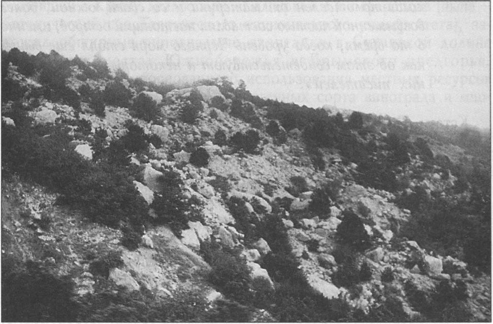 Кучуккойский каменный хаос, описанный П.С. Палласом