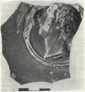 Краснолаковое блюдо с рельефным изображением головы римлянина (Алма-Кермен)