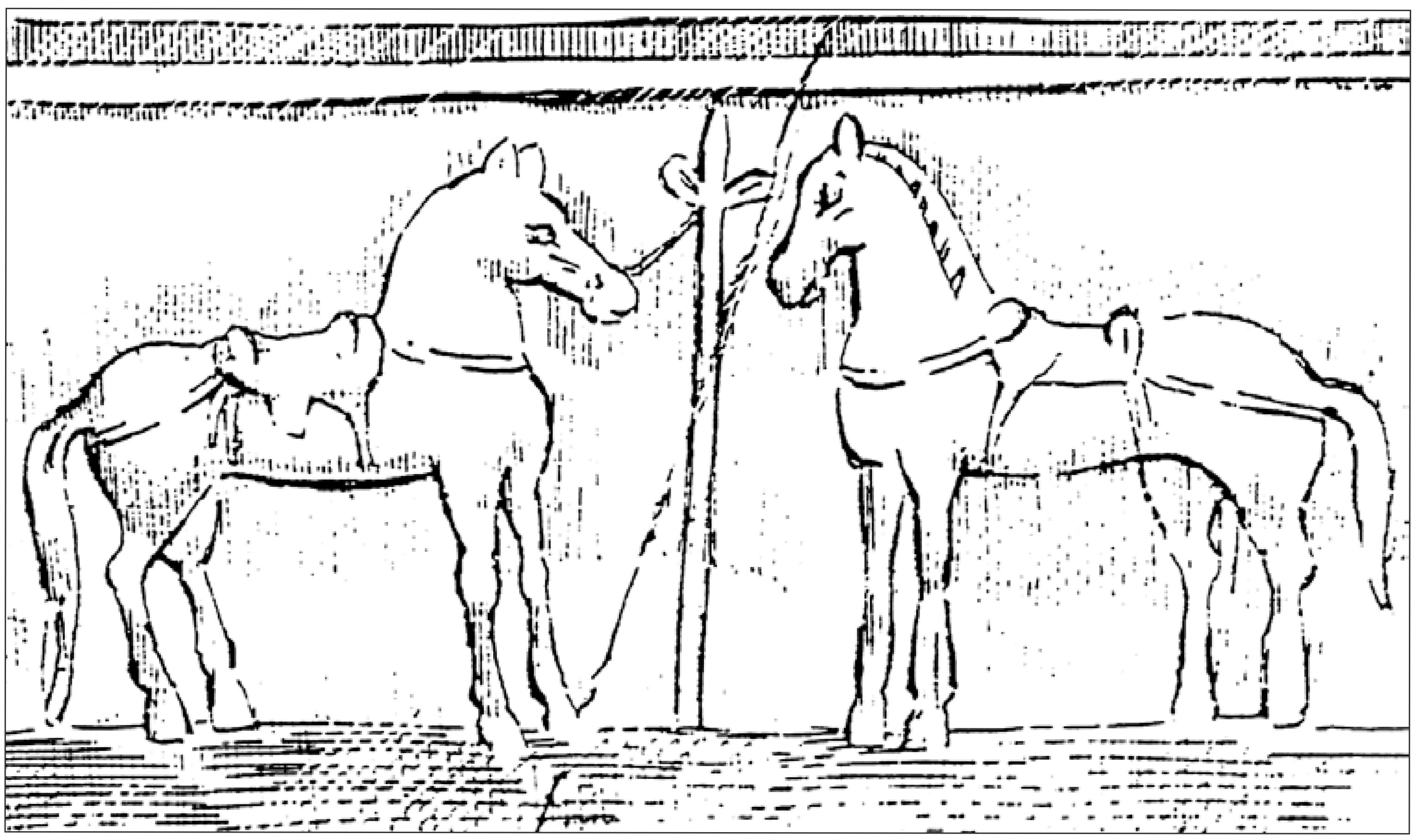 Рис. 78. Постамент надгробия Фаллона, сына Пофа, с изображением оседланных лошадей. Горгиппия. I в.